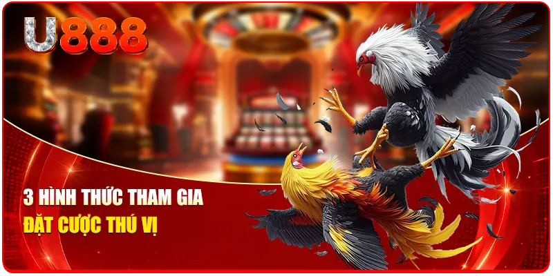 3 hình thức tham gia đặt cược thú vị