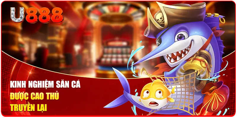 Kinh nghiệm săn cá được cao thủ truyền lại
