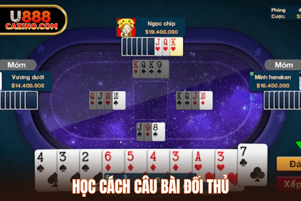 Học cách câu bài đối thủ