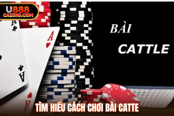 Tìm hiểu cách chơi bài catte